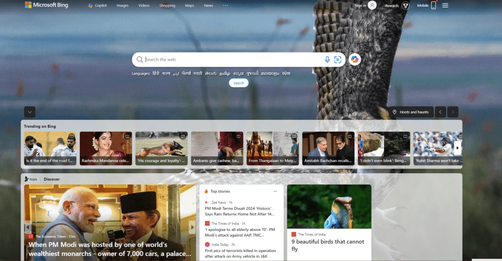 Microsoft Bing Search Engine